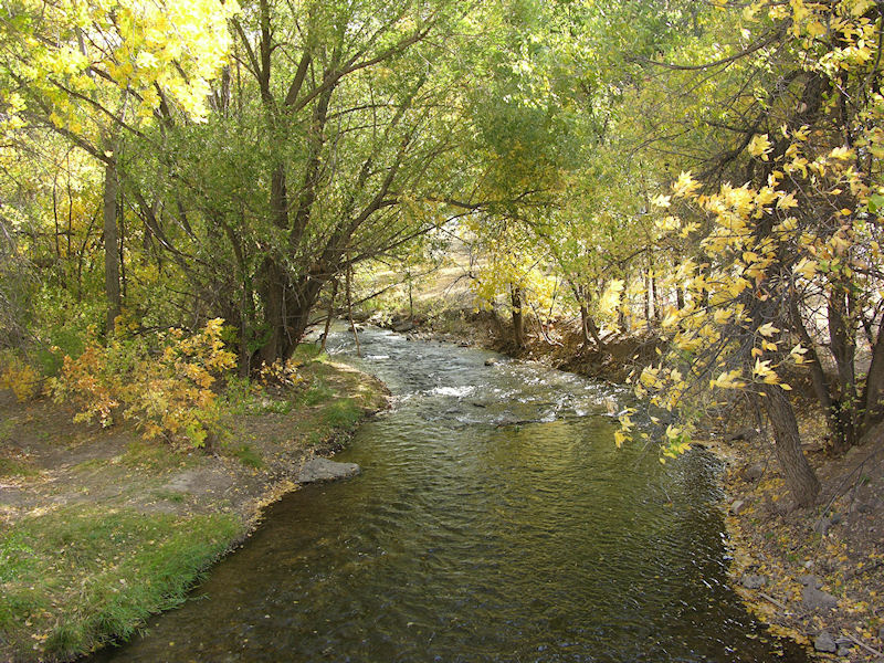 Rapid Creek